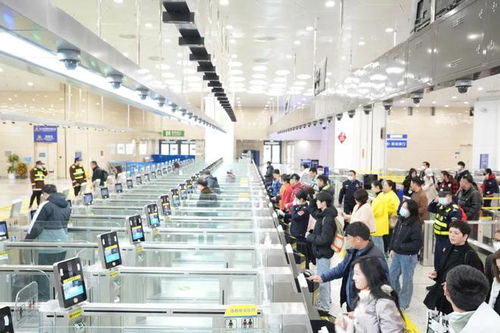 新闻早茶 车流高峰到 今晚驾车进出横琴这样走更顺畅