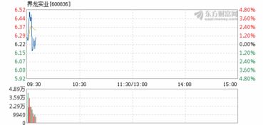 界龙实业3月13日快速回调