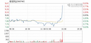 世龙实业10月11日盘中涨幅达5