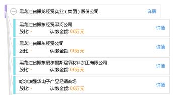 黑龙江省振龙经贸实业 集团 股份公司