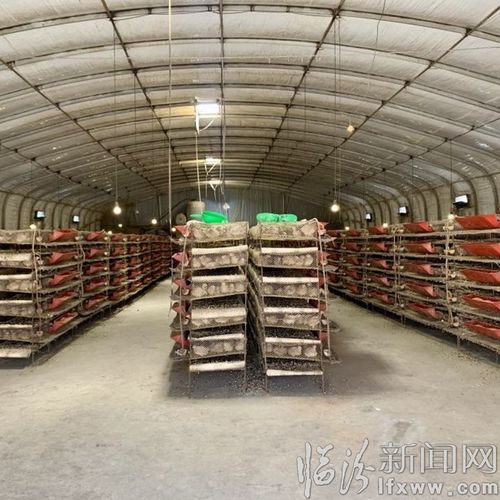 翼城召开市场主体倍增暨创新创业工作座谈会