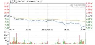 世龙实业5月17日盘中跌幅达5