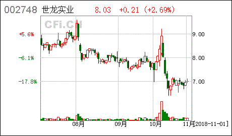 世龙实业 关于全资子公司成立的进展公告