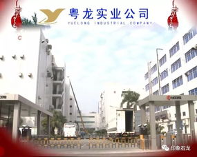 粤龙实业公司向全镇人民拜年