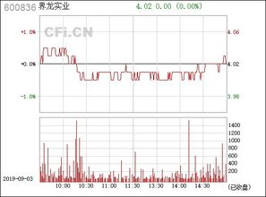 界龙实业 600836