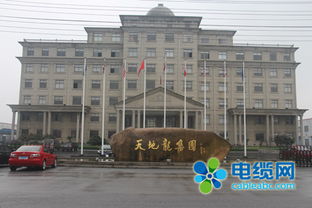 天地龙集团进入破产清算程序